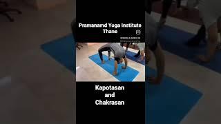 #premanand #yoga #yogaforbeginners #yogapractice #fitness #yogabody