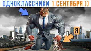 ОДНОКЛАССНИКИ 1 СЕНТЯБРЯ ))) | Приколы с котами | Мемозг 1486