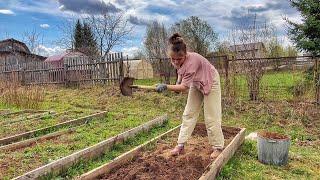 Preparing a HOME FARM for the vegetable season - I'm cooking NETTLE soup for my family