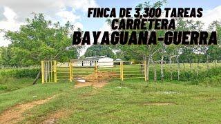 Finca de 3,300 tareas en Bayaguana para Ganadería y Agricultura con Titulo Paneles Solares y 2 Casas