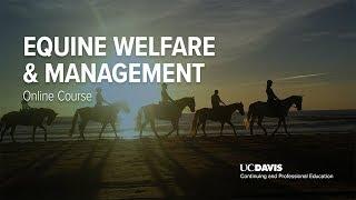 Equine Welfare & Management Online Course | UC Davis Continuing and Professional Education