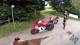 Ducati 1299 Panigale v 2015 Yamaha R1