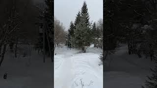 Зимнее видео Серебряного Источника ( деревня Каблуково ) Александровский район Владимирская обл.