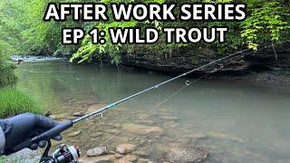 Fishing for STREAM BORN Wild Trout! EP: 1