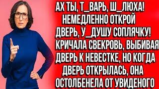 Ах ты, т_варь, ш_люха! Немедленно открой дверь, у_душу соплячку!  Кричала свекровь, выбивая дверь...