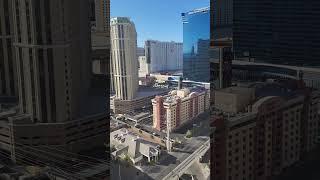 Vegas 2024 21st Floor Signature MGM Grand Daytime Cell