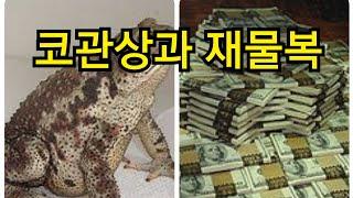 코관상과 재물복, 콧구멍이 보이면 돈이없다 ?