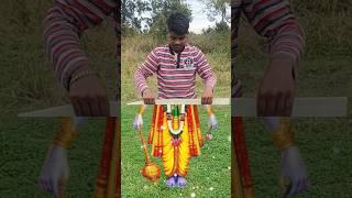 Shree Hari Vishnu #shorts #vishnu #shortsfeed
