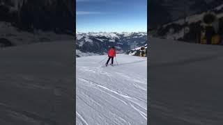 Skiing in the Swiss Alps Adelboden/Lenk