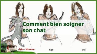 Chat heureux et en bonne sante : guide complet pour prendre soin de votre felin !