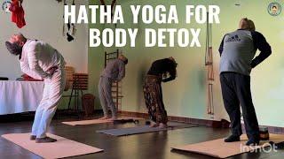 Hatha Yoga For Whole Body Detox #anmolsingh #hathayoga #yogaclasses #yoga #bodydetox #detox