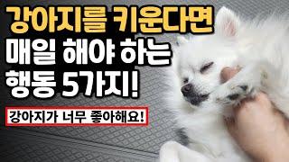 강아지에게 사랑한다고 표현하는 방법, 강아지에게 매일 해야 하는 행동