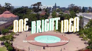 Explore San Diego’s wild side, past and present, at the Natural History Museum — One Bright Idea