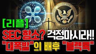 [리플] SEC 항소? 걱정마시라!! "대폭발"의 배후 "블랙록" #리플 #리플호재 #리플전망 #코인추천