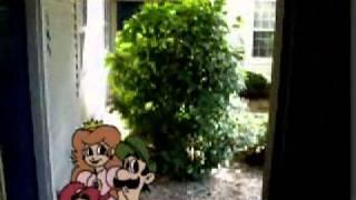 Mario at TomPreston's door (Haha you wish)