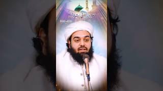 Huzoor SAW ki Bashriyat ▌Sahibzada Shabbir Ahmad Siddiqui ▌2025 
