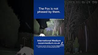 Spooky Skyfish Visit Fox #skyfish #orbs #foxsisters #ghostlyencounters #freakytales #spiritguide