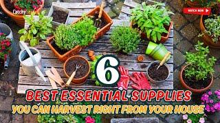 TOP 6 BEST ESSENTIAL SUPPLIES YOU CAN HARVEST RIGHT FROM YOUR HOUSE!  // Gardening Ideas