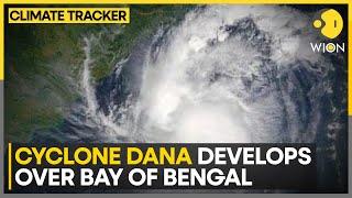 Cyclone Dana: IMD Issues Red Alert In West Bengal & Odisha | WION Climate Tracker | World News