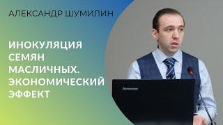 Инокуляция семян масличных. Экономический эффект. Примеры из практики