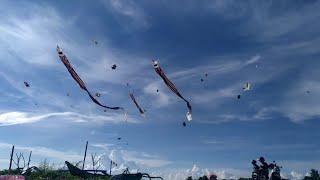 Musim layangan mulai lagi.. beginilah suasana awal melayangan di pantai mertasari sanur bali