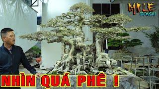 Nam Lê spa cho Ngai Vàng Đất Việt chuẩn bị cho cuộc chơi mới | NamLe Bonsai