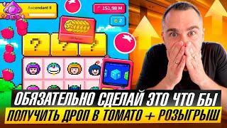 TOMATO - ОБЯЗАТЕЛЬНО СДЕЛАЙ ЭТО ЧТО БЫ ПОЛУЧИТЬ AIRDROP