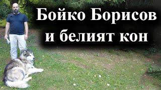 Бойко Борисов и белият кон. Правителството на ГЕРБ не мина гласуването в парламента