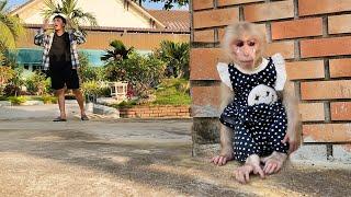 So sad! Monkey Luk sadly left home because...