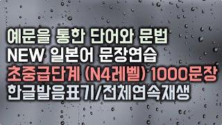 NEW 일본어 문장 연습 [초중급레벨 1000문장] N4레벨 수준 1000문장 (전체 연속재생 풀버전) #변형반복을통한자동학습 #중급일본어 #jlptn4