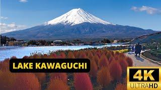 LAKE KAWAGUCHI, JAPAN  [4K] Oishi Park — The most picturesque location to see Mt Fuji