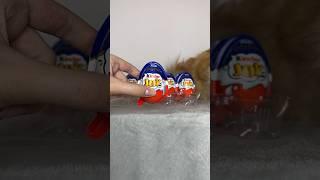 Колекція Kinder Joy FUNKO POP HARRY POTTER