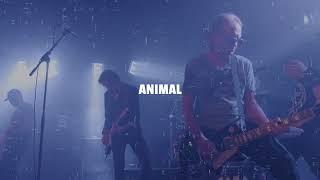 Jesus Jones - Animal Instinct (lyric video)