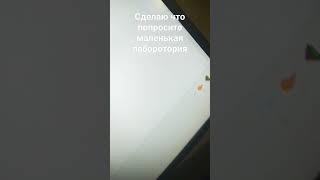 #хочувреки#маленькаялабороториЯ