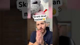 toto si o mačke nevedel