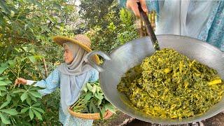 HIDUP JIMAT CARI SAYUR SEGAR DI KEBUN | TEMPOYAK PUCUK UBI