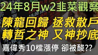 24年8月-第2週 |韭菜的股市觀察 #投資 #理財 #韭菜