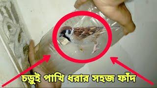 চড়ুই পাখি ধরার সহজ ফাঁদ | হাসি টিভি |