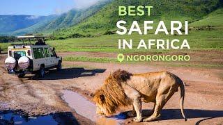 Travel in 2021: Safari in Tanzania, Ngorongoro