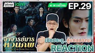 【REACTION】[EP.29] อาจารย์มารหวนภพ (พากย์ไทย) Love of the Divine Tree [仙台有树] | iQIYIxมีเรื่องแชร์