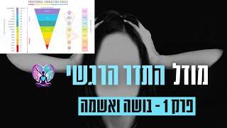 מודל התדרים פרק 1 - בושה ואשמה