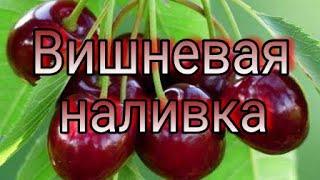 Вишневая наливка