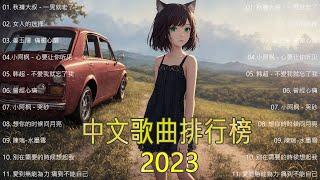 抖音热歌 - 抖音歌曲2023 - 2023新歌不重複