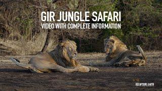 GIR JUNGLE SAFARI | VIDEO WITH COMPLETE INFORMATION | LION SAFARI