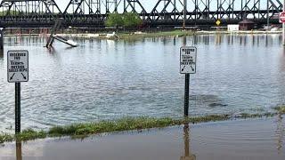 Video: Watch fish swim around the Quad-City Times parking lot