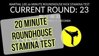 20 Minute Roundhouse Kick Stamina Test - BLEEP Test For Martial Arts Training