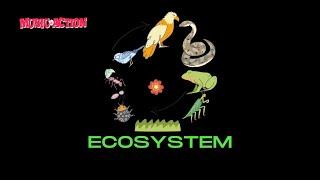ECOSYSTEM-Lyric video- SCIENCE SONGS-