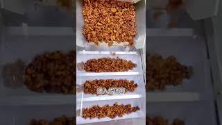 Walnut kernel premade bag packing machine