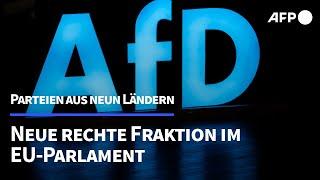 AfD gibt Gründung einer neuen Fraktion im EU-Parlament bekannt | AFP