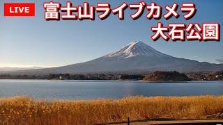 【LIVE】河口湖大石公園からの「富士山ライブカメラ」 "mount fuji live camera" from Lake Kawaguchiko Oishi Park  (Japan)